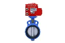 Motorized-Butterfly-Valve-Ci-Body.webp